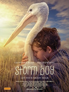 film1.jpg