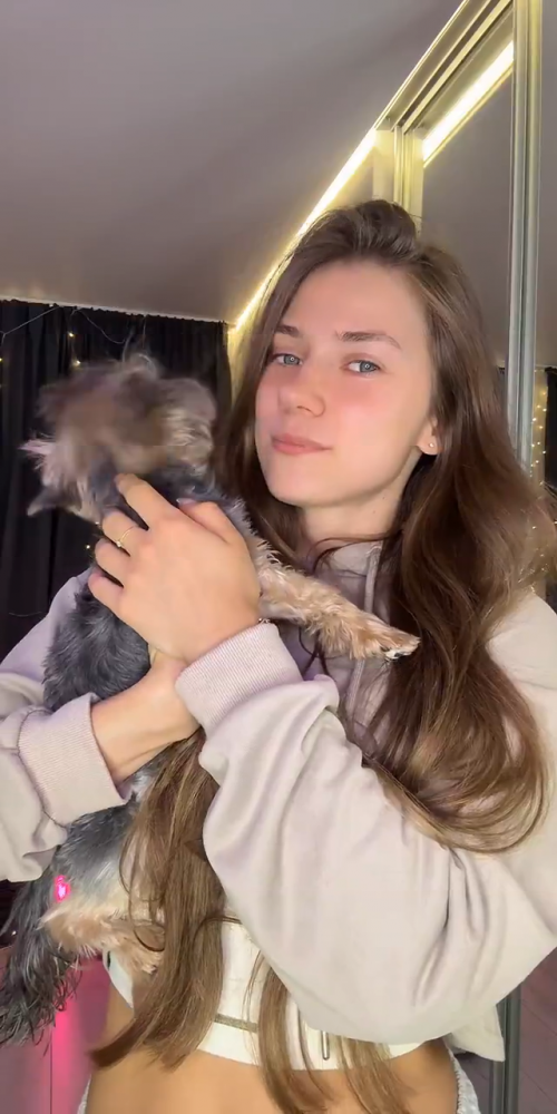 videoframe_2563884.png