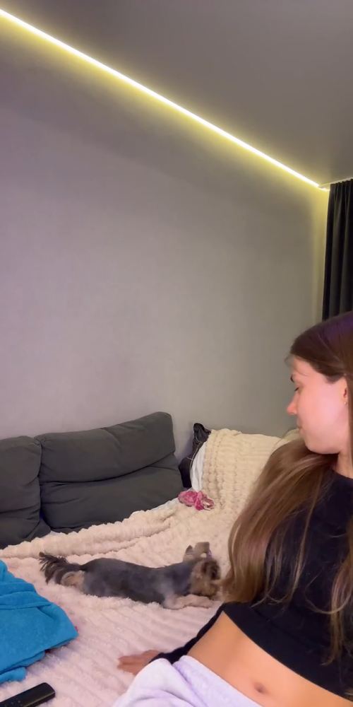 videoframe_3017867.png