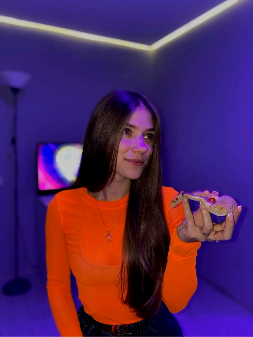 videoframe_3249.png