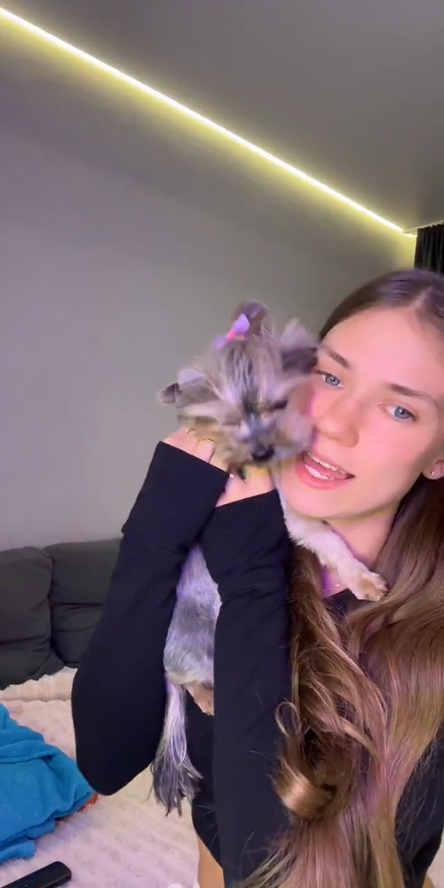 videoframe_3409272.png