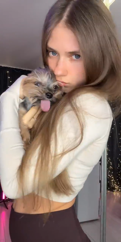 videoframe_439986.png