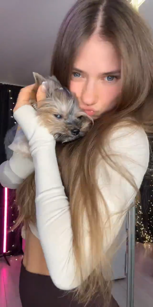 videoframe_445603.png