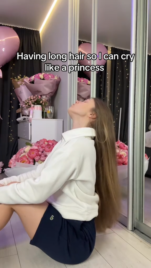 videoframe_481.png