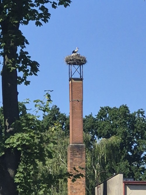 20260626_155959.jpg