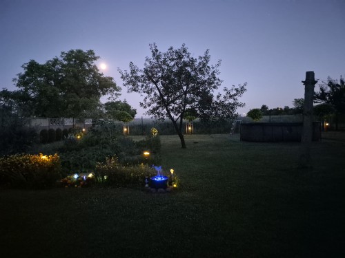 20260626_220551.jpg