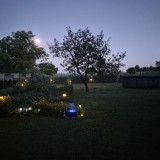 20260626_220551