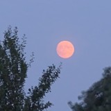 20260628_212012