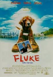 flukepsimtropemdodomu.jpg