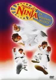 malolatyninja3.jpg