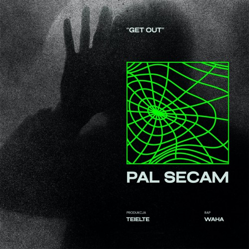 palsecam.jpg