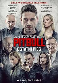 pitbull3.jpg