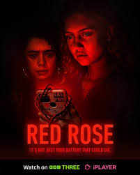 redrose.jpg