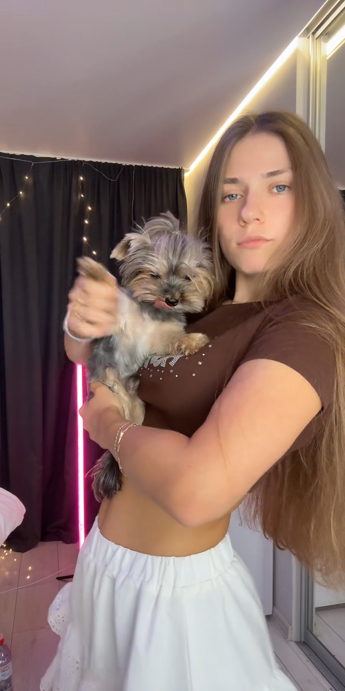 videoframe_3991990.png